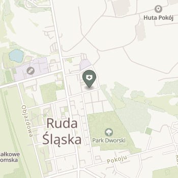 NZOZ Hospicjum Domowe im. św. Jana Pawła II w Rudzie Śląskiej na mapie