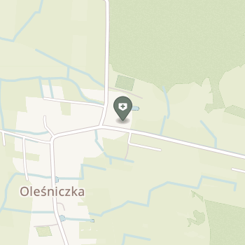 Oleśniczka 30 na mapie