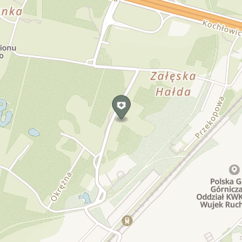 Centrum Psychoterapii i Wsparcia Pedagogicznego Przebudzenie na mapie