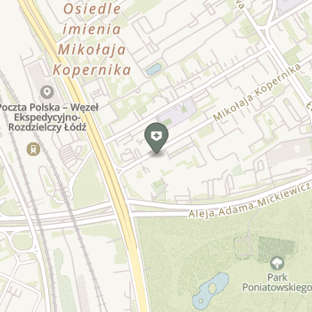 Rmed Kopernika na mapie