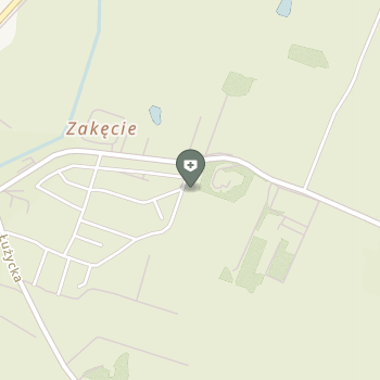 Krysiuk Lesia Slmedtransport na mapie