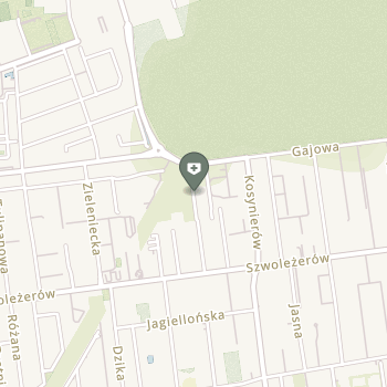 Gabinet Masażu Leczniczego na mapie