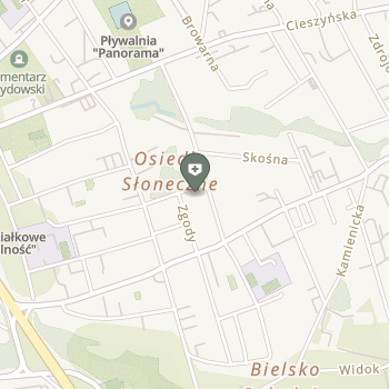 Opieka Zdrowotna Strzelczyk na mapie
