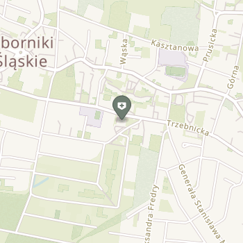 Mindcare Oborniki na mapie