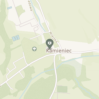 Ośrodek Leczniczo-Rehabilitacyjny "Pałac Kamieniec" na mapie
