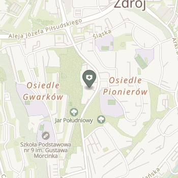 Silesia Medical Spots na mapie