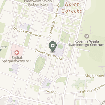 Śląska Grupa Medyczna - Silesia Med Team na mapie