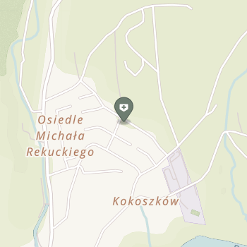 Fizjoterapia na mapie