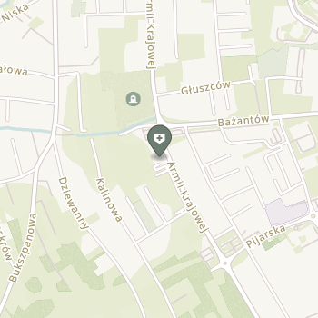 Dentestica Aleksandra Drozd na mapie