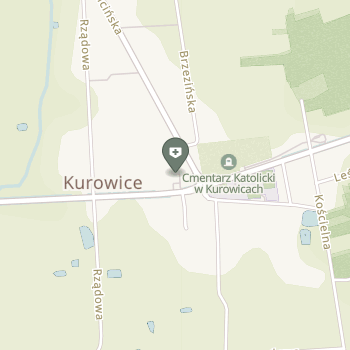 Gminna Przychodnia Zdrowia w Kurowicach na mapie
