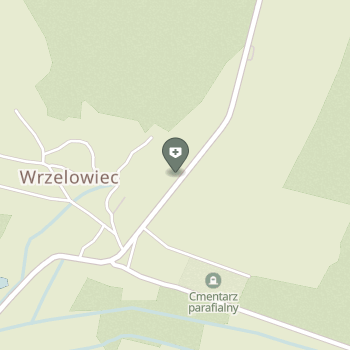 NZOZ Ośrodek Zdrowia Wrzelowiec na mapie