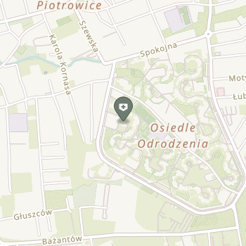 Ośrodek Rehabilitacyjno-Oświatowy Dziennego Pobytu dla dzieci Niepełnosprawnych na mapie