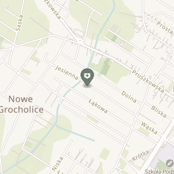 Analizy Lekarskie na mapie