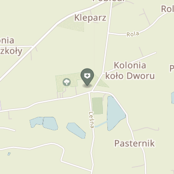 NZOZ Ośrodek Zdrowia w Paszkówce na mapie