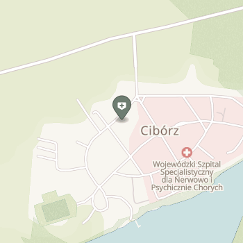 Wojewódzki Szpital Specjalistyczny dla Nerwowo i Psychicznie Chorych SPZOZ w Ciborzu na mapie