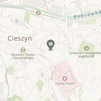Ambulatorium z Izbą Chorych Zakładu Karnego w Cieszynie na mapie