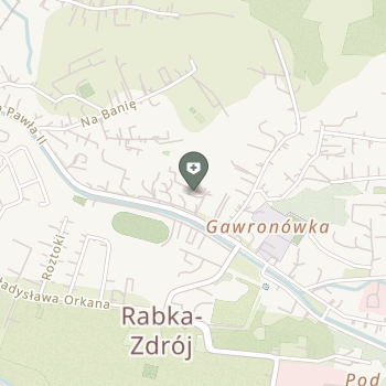 NSZOZ Ziemiańscy na mapie