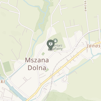 Przychodnia Miejska Vital-Med w Mszanie Dolne na mapie