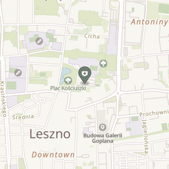 Ambulatorium z Izbą Chorych Aresztu Śledczego w Lesznie na mapie