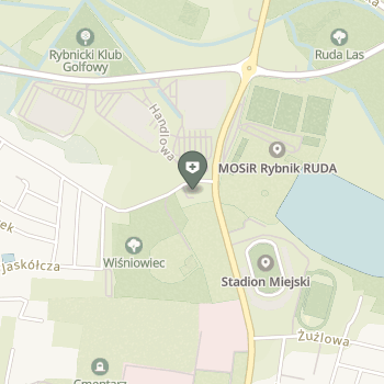 Rybnicka Powiatowa Stacja Sanitarno-Epidemiologiczna w Rybniku na mapie