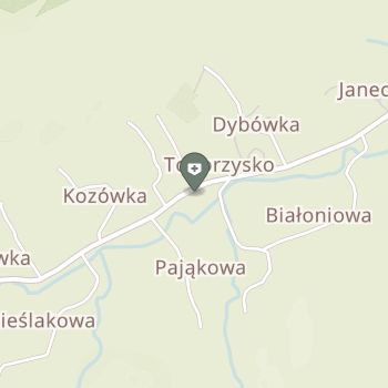 NZOZ Sanus w Toporzysku na mapie