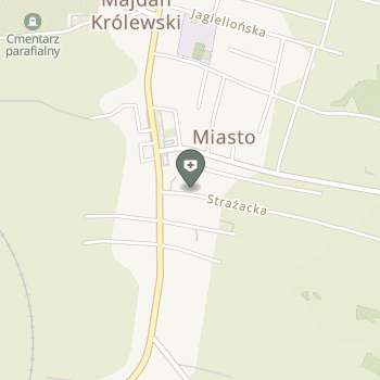 Gminny SPZOZ na mapie