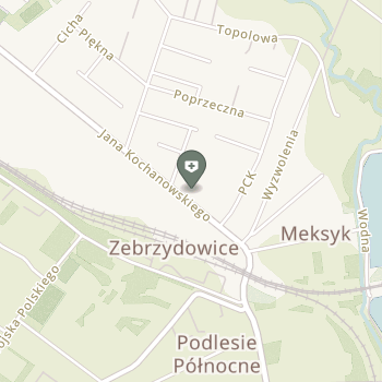 Panda Med Zebrzydowice na mapie