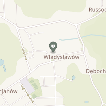 Fizjo-Reh Jankowiak na mapie