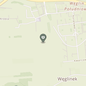 NZOZ Centrum Terapii Autyzmu Alpha na mapie