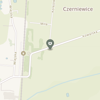 Przychodnia Lekarska "Medyk" w Czerniewicach na mapie