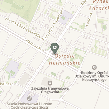 Medyczne Centrum Hetmańska na mapie
