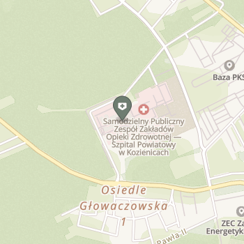 Salur Med Ośrodek Hepatologii na mapie