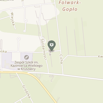 Gabinet Rehabilitacyjno-Logopedyczny na mapie