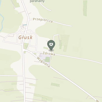 "Głusk-Med" Lekarsko-Pielęgniarska na mapie
