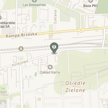 Ambulatorium z Izbą Chorych Zakładu Karnego w Chełmie na mapie