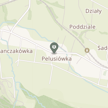 NZOZ "Ośrodek Zdrowia" w Ptaszkowej na mapie