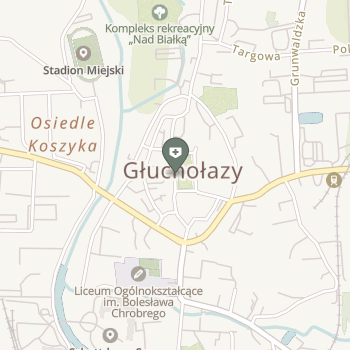 Zakład Leczniczy Kanmed na mapie