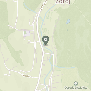Uzdrowisko Krynica-Żegiestów na mapie