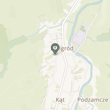 Centrum Rehabilitacji Baligród na mapie