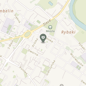 Anamed Anna Wołkowicz na mapie