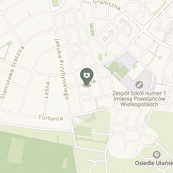 Centrum Fizjoterapii i Terapii Manualnej na mapie