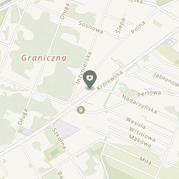 Centrum Medyczne Królewska na mapie