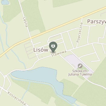 NZOZ Przychodnia Lekarska w Lisowie na mapie