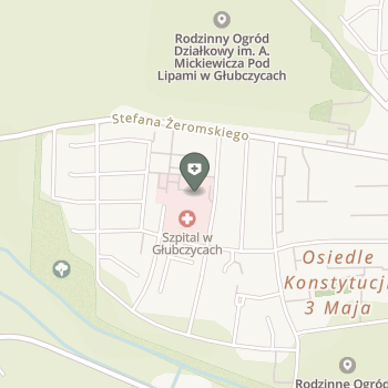 SPZOZ w Głubczycach na mapie