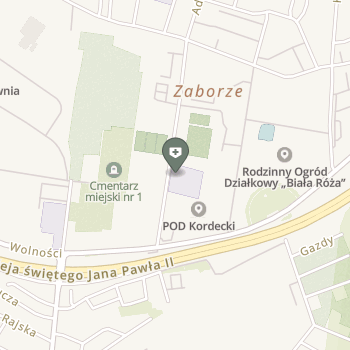 Gabinet Lekarski Zabrzańskiego Towarzystwa Rodziców, Opiekunów i Przyjaciół Dzieci Specjalnej Troski na mapie