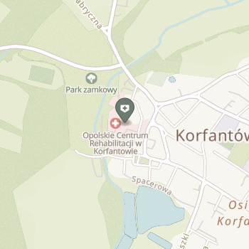 Opolskie Centrum Rehabilitacji w Korfantowie na mapie