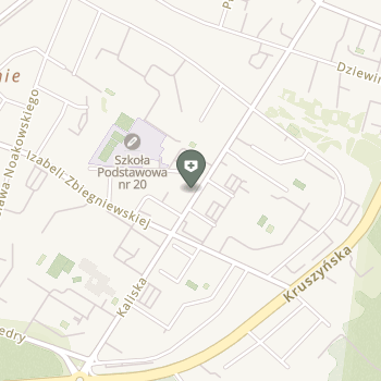 Wita Usługi Rehabilitacyjne w Spadku na mapie