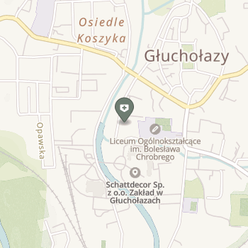 NZOZ Centrum Medyczne na mapie