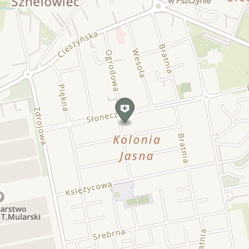 Zakład Leczniczo-Diagnostyczny Chorób Układu Nerwowego Neuromag na mapie