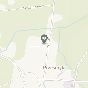Dentos Rusłana Kiriczenko na mapie